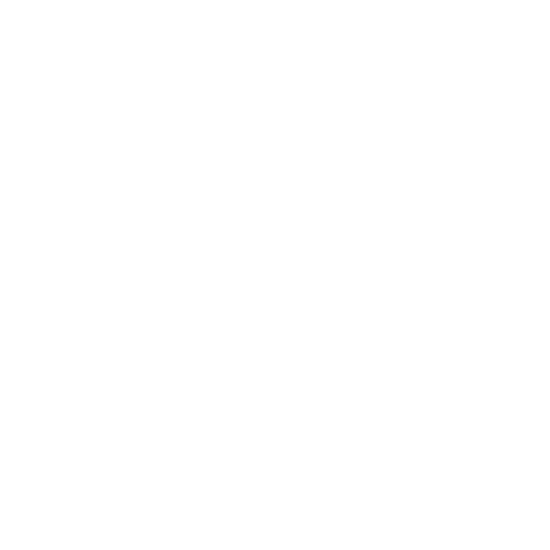 Platino Motors